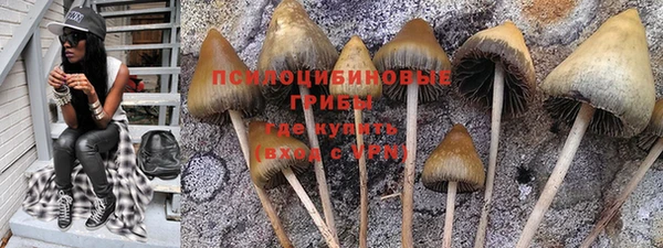 стаф Абдулино