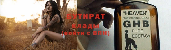 прущие грибы Всеволожск