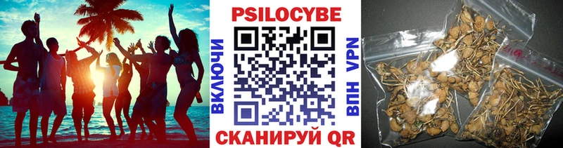 Галлюциногенные грибы мицелий  hydra   Судогда 